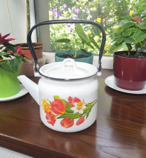 Чайник эмалированный 2,0 л (рисунки разные), фото